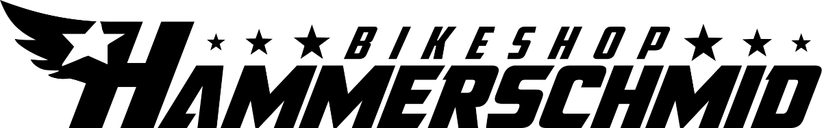 Sponsor