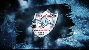 Sommerpause bei den Traunsee Sharks Gmunden